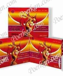 JUHUI SOD CORDYCEPS MEDLAR CAPSULE