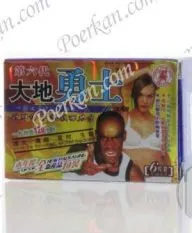 DA DI YONG SHI